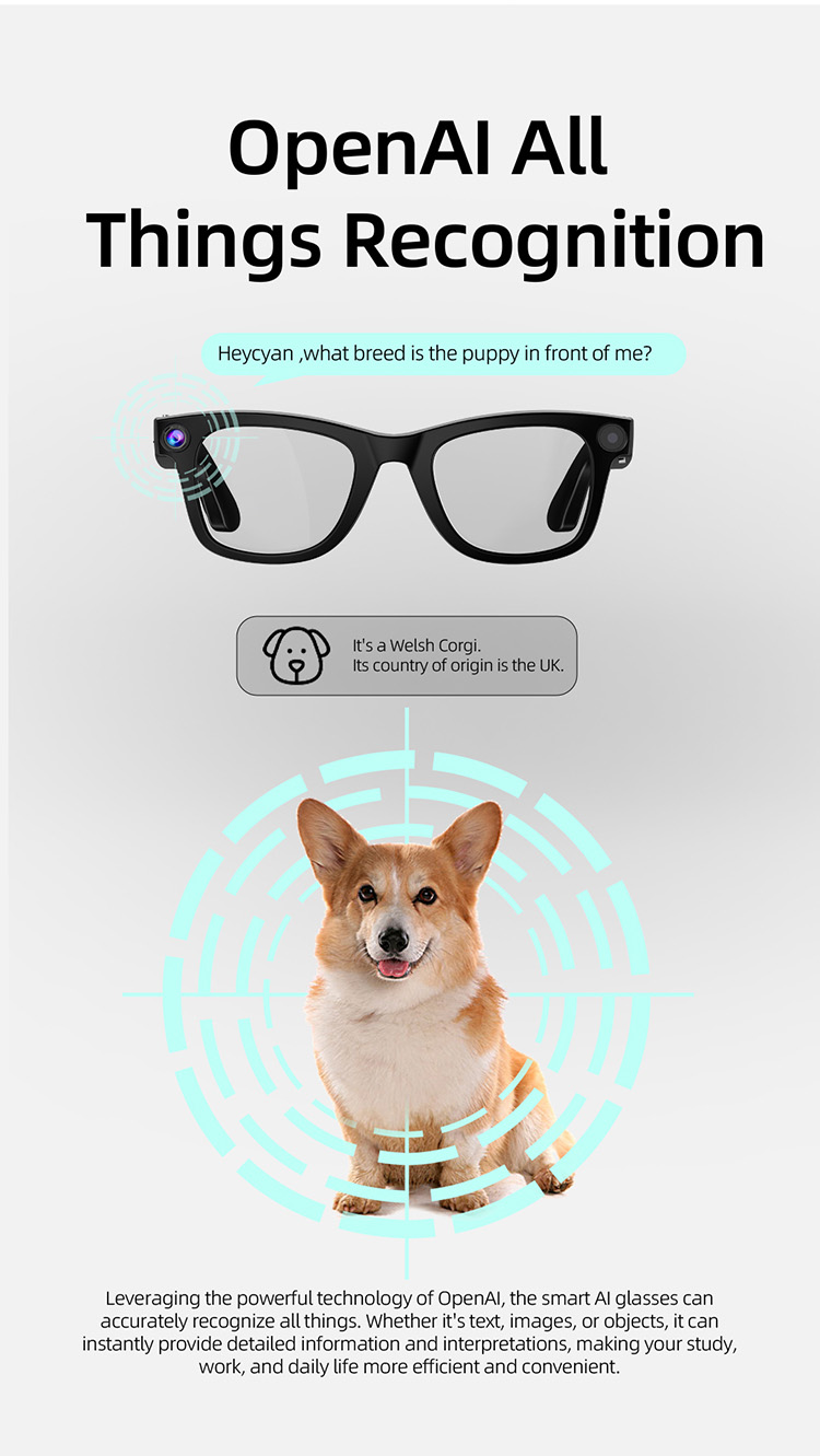G300 Smart Glasses, G300 Glasses with Camera,  G300 Sunglasses, G300 AI Glasses, G300 Translator Glasses, G300 Eye Glasses, G300 Translation Glasses, Smart Glasses with Camera, Sunglasses with Camera, Smart AI Glasses